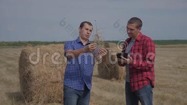 团队农业智慧农业理念.. 生活方式两个男人农民工人在数字领域研究干草堆